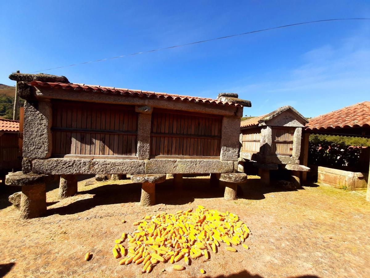 Вилла Casa Da Fichua Сиштелу Экстерьер фото